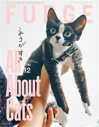 【メディア掲載】『FUDGE』12月号